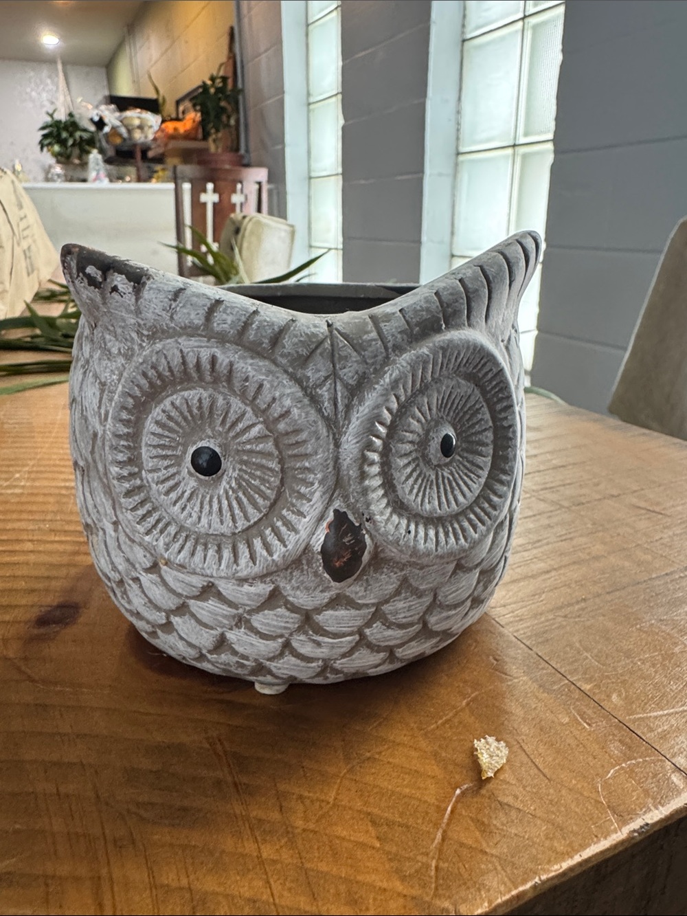 Decorative Owl Planter - White Distressed Ceramic